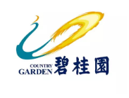 平远碧桂园地产